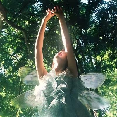京都球侠